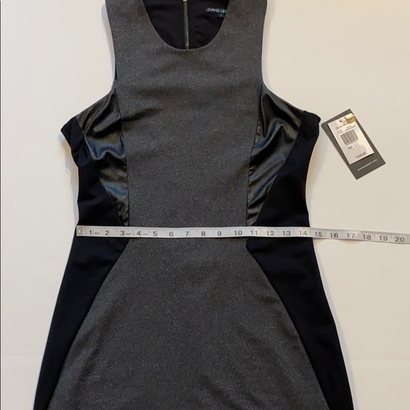 David Lerner Large Short Bodycon Astor Dress New D6 - Picture 11 of 13